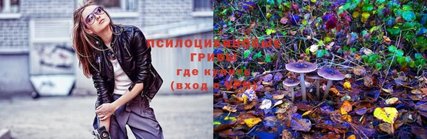 герыч Няндома