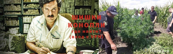 гашик Аркадак