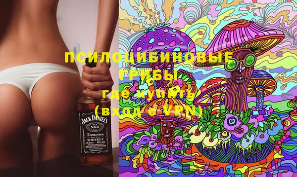 гашик Аркадак