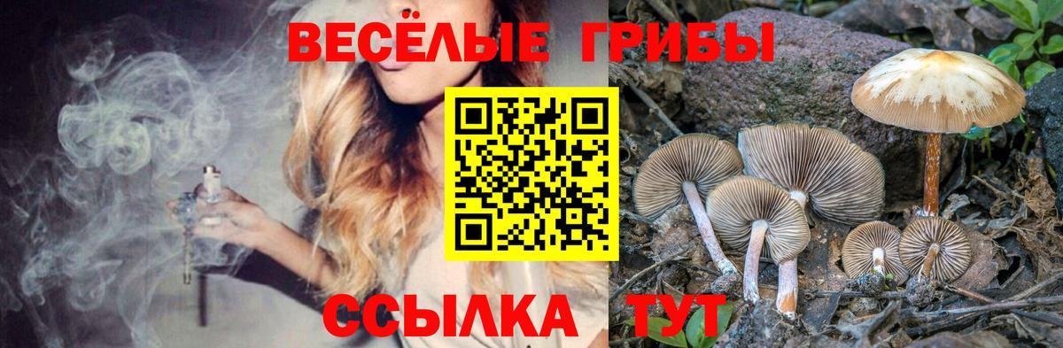 Апшеронск  купить наркотик  Вход с VPN  Галлюциногенные грибы мухоморы 